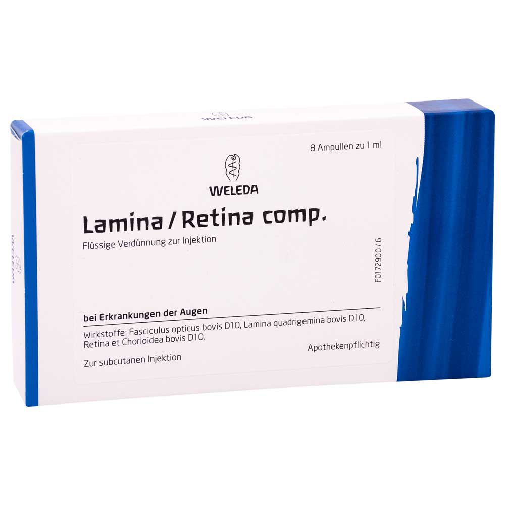 LAMINA/Retina comp.Ampullen